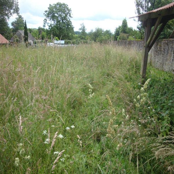 Offres de vente Terrain Saint-Gence 87510