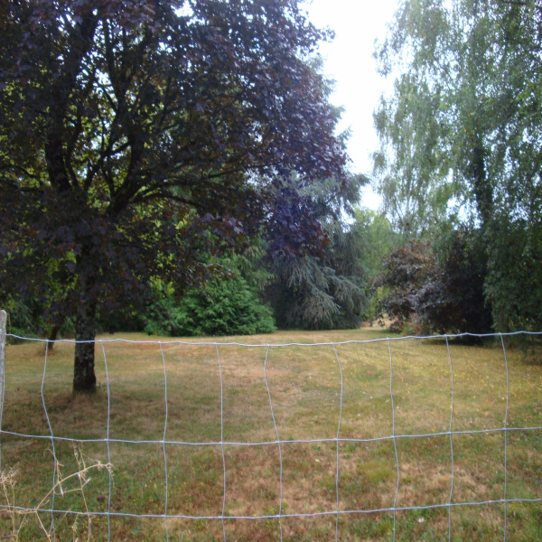 Offres de vente Terrain Le Vigen 87110
